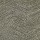 Stanton Carpet: Circuit Pewter